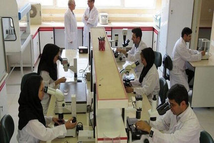 اشتغال ۵۳۰ کارآفرین متخصص غیر مقیم در شرکتهای دانش بنیان