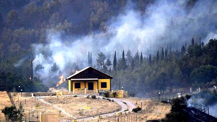 دو دامدار سیسیلی بدلیل ایجاد آتش‌سوزی عمدی دستگیر شدند