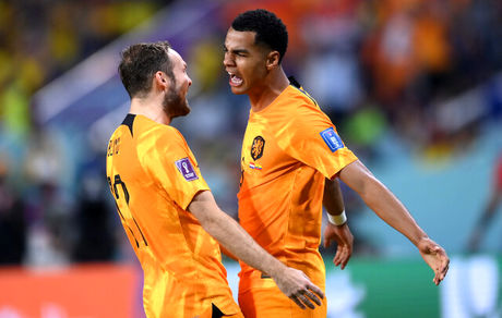 هلند ۲ - قطر صفر/صعود لاله‌های نارنجی به عنوان صدرنشین گروه A