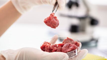 گوشت آزمایشگاهی یک گام تا استفاده عمومی