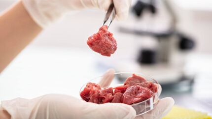 گوشت آزمایشگاهی یک گام تا استفاده عمومی