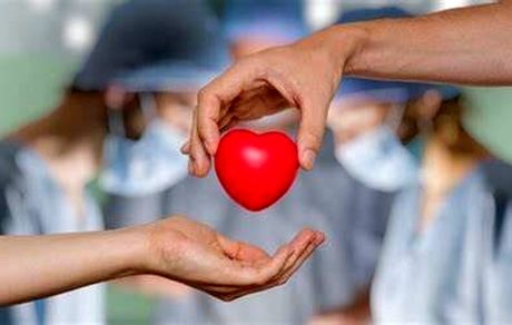 در ایران ۱۰ هزار نفر در لیست انتظار پیوند عضو هستند