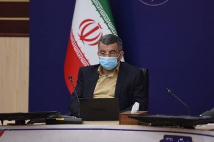 معاون وزیر بهداشت: هیچ داروی گیاهی و سنتی مؤثر برای درمان کرونا نداریم‌