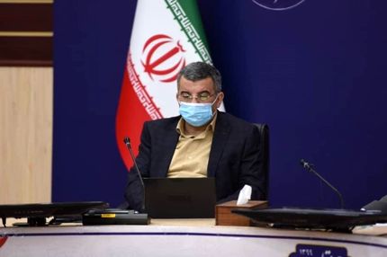 معاون وزیر بهداشت: هیچ داروی گیاهی و سنتی مؤثر برای درمان کرونا نداریم‌