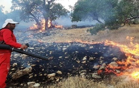 مهار آتش سوزی اراضی ملی دزفول