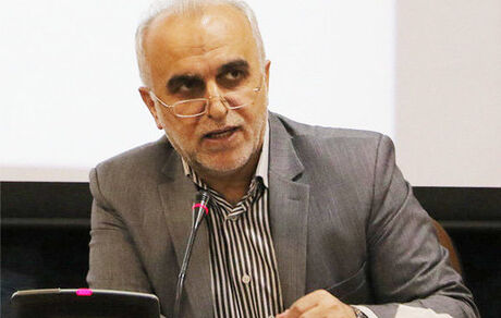 وزیر اقتصاد: بانک‌ها در قامت کرکس نباشند