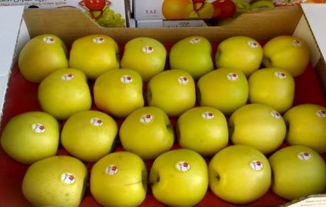 صادرات سیب ایران به هند افزایش یافت