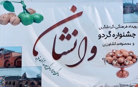 آغاز اولین جشنواره گردو در روستای وانشان گلپایگان