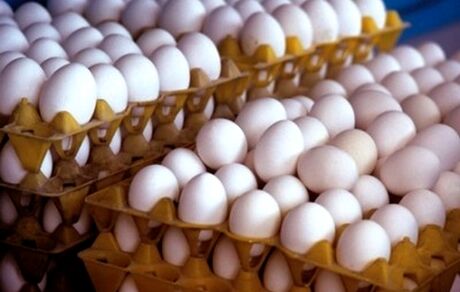 فروش تخم مرغ بالای ۹۰ هزار تومان تخلف است
