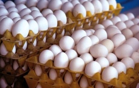 فروش تخم مرغ بالای ۹۰ هزار تومان تخلف است
