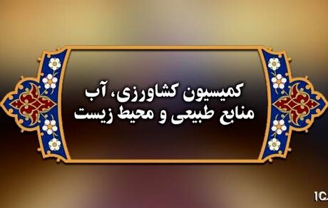 تقاضای تحقیق و تفحص از سازمان امور اراضی بررسی می‌شود
