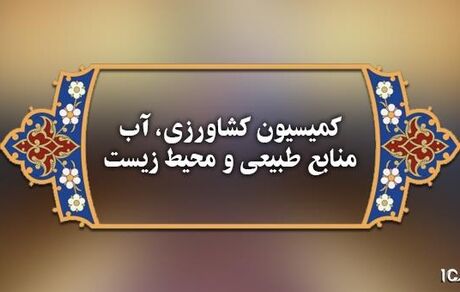تقاضای تحقیق و تفحص از سازمان امور اراضی بررسی می‌شود