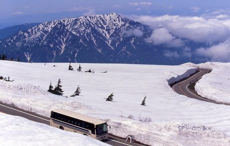 بارش برف در اکثر نقاط مختلف کشور / کشور دوباره سفیدپوش می‌شود