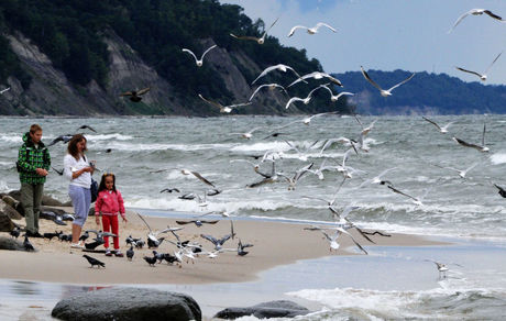 سری‌لانکا ورود گردشگران بدون قرنطینه را آزادکرد