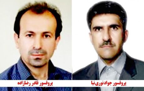 نام دو استاد ارومیه‌ای در جمع نویسندگان یک درصد برتر جهان