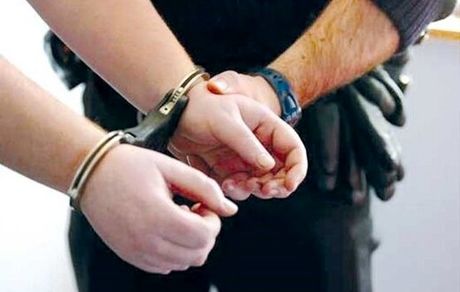 بازداشت رئیس سازمان جنگل‌ها تایید شد