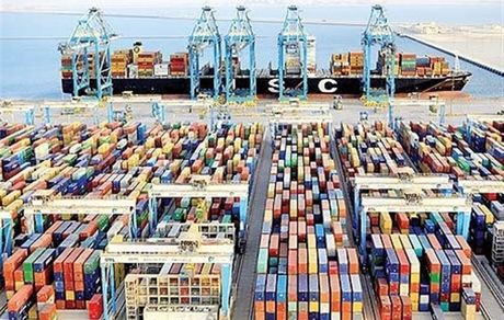 ۵۸ درصد کالاهای اساسی وارد شده نهاده‌های تولید گوشت و مرغ بودند