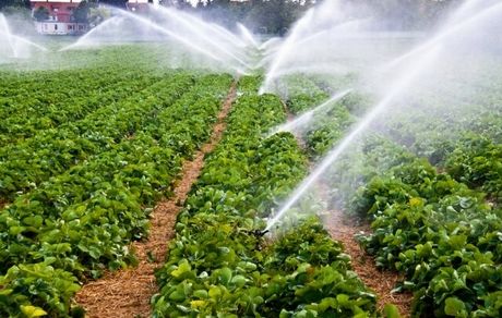 تقاضای آب ۲ برابر جمعیت رشد کرده است