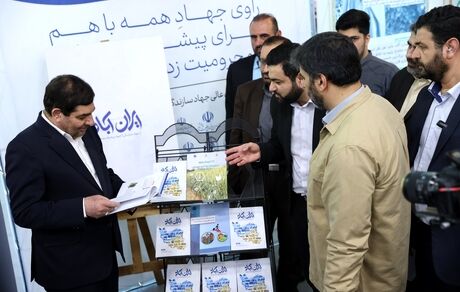 مخبر: فعال کردن اقتصاد روستا از اولویت های دولت است
