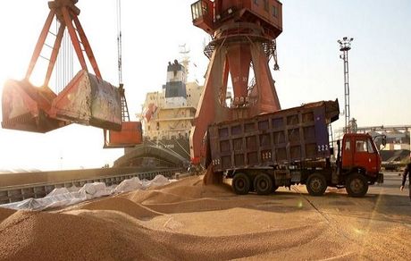 شیوه‌نامه واردات گندم معمولی و دروم ابلاغ شد