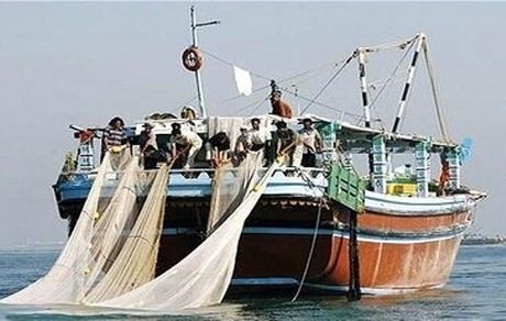 پیش‌بینی تولید ۵ هزارتن میگو در سال جاری