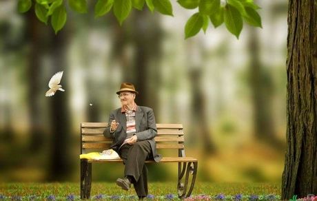 
معاون وزیر بهداشت: ایران تا ۳۰ سال آینده، کشوری پیر خواهد شد
