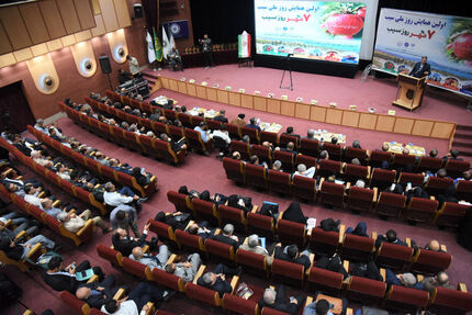 صادرات سیب در نیمه نخست سال، نصف شد
