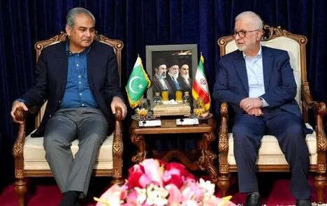 وزیر کشور: روابط ایران و پاکستان باید ارتقا یابد