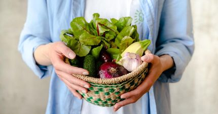 تاثیر مصرف میوه، سبزیجات و قهوه در پیشگیری از زوال عقل