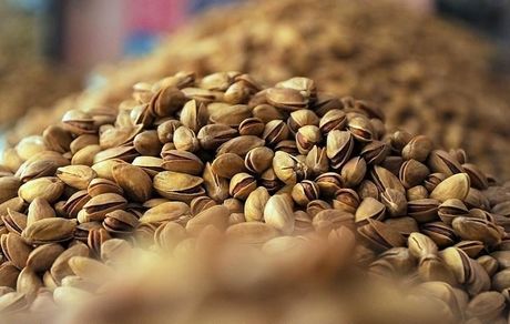 کاهش ۶۱ درصدی صادرات پسته ایران