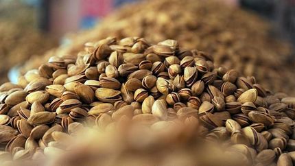 کاهش ۶۱ درصدی صادرات پسته ایران