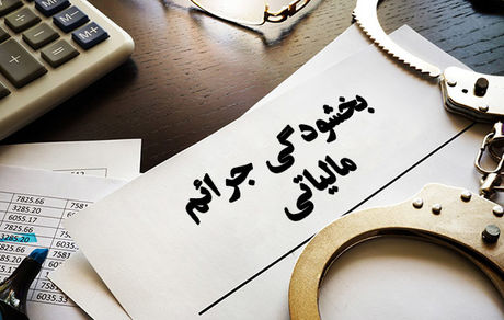 بخشودگی جرایم مالیاتی تا سقف ٣ میلیارد ریال تا پایان بهمن ماه