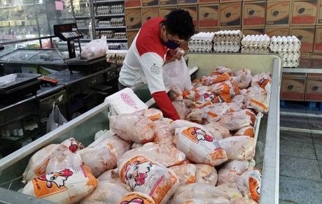 قیمت مرغ دوباره بالا رفت