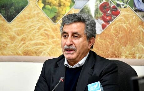 معاون امور زراعت جهاد کشاورزی: انحلال سازمان پنبه و دانه‌های روغنی، صنعت نساجی را بر باد داد