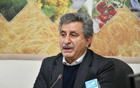 معاون امور زراعت جهاد کشاورزی: انحلال سازمان پنبه و دانه‌های روغنی، صنعت نساجی را بر باد داد