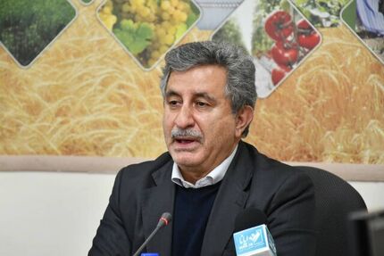 معاون امور زراعت جهاد کشاورزی: انحلال سازمان پنبه و دانه‌های روغنی، صنعت نساجی را بر باد داد