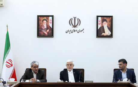 عارف: دولت حق ندارد خلاف منویات مردم کاری کند