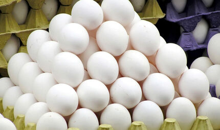 مشکلی در تامین تخم مرغ و گوشت مرغ نداریم
