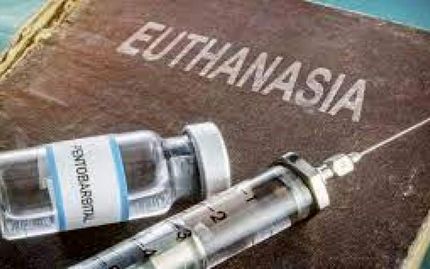 نیوزیلند، مرگ خودخواسته را قانونی کرد