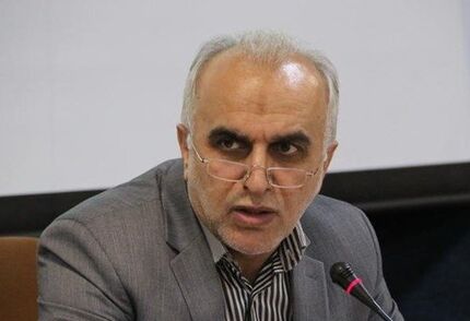
دژپسند: اصلاح نظام بانکی یکی از اولویت‌های وزارت اقتصاد است
