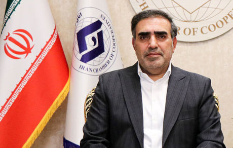 وزارت جهاد اجازه توزیع نهاده دامی را به تعاونی‌ها نمی‌دهد