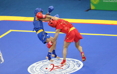 ۵۷ مدال ووشو کاران ایران در رقابت‌های جهانی مجازی