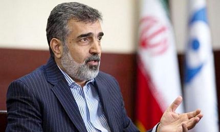 انتقاد سخنگوی سازمان انرژی اتمی ایران از سیاسی بازی آژانس بین‌الللی انرژی اتمی