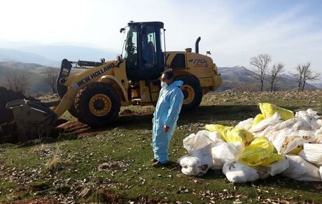 سرانه مصرف سم در محصولات کشور پایین است