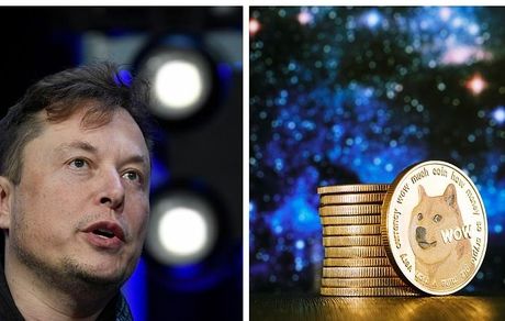ادامه حمایت ایلان ماسک از دوج کوین علی‌رغم غرامت چند صد میلیارد دلاری!