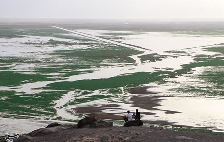 ستاد ملی احیای دریاچه هامون تشکیل می‌شود