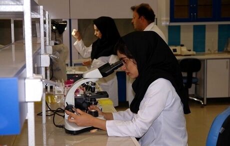 تعرفه‌های جدید آزمایشگاه‌های همکار غذا و دارو تا اواسط مرداد اعلام خواهدشد