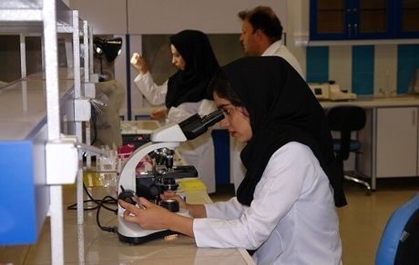 تعرفه‌های جدید آزمایشگاه‌های همکار غذا و دارو تا اواسط مرداد اعلام خواهدشد