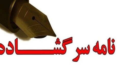انتقاد بیش از ۵۰ نمایندۀ مجلس شورای اسلامی بابت حذف ارز ترجیحی