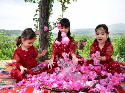 ثبت جشنواره گلاب‌گیری بانه در تقویم گردشگری